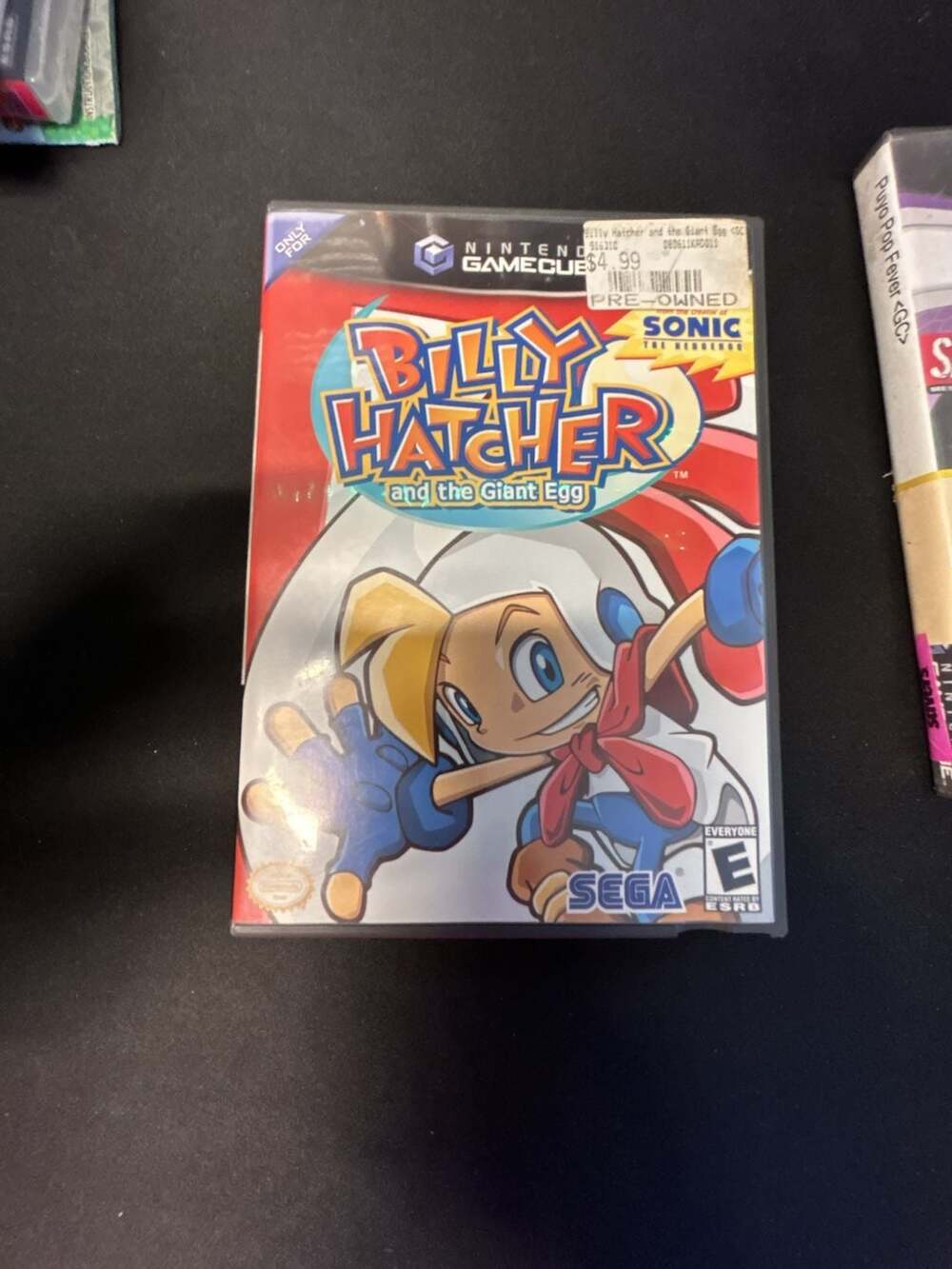Billy Hatcher and the Giant Egg Nintendo GameCube Case and Manual